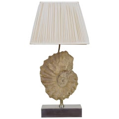 French Ammonite Fossil Mounted as a Table Lamp on a Brushed Steel Base