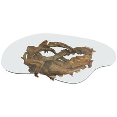 Organic Modern Amoeba Shaped Root Wood and Glass Coffee Table