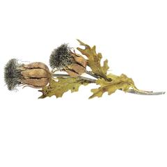 M. Buccellati silver Two color gold Thistle brooch