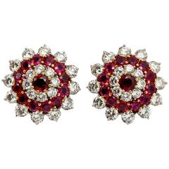 Beautiful Rubies and Diamonds Earrings 8
