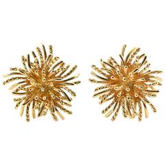 Tiffany & Co. Gold Earrings