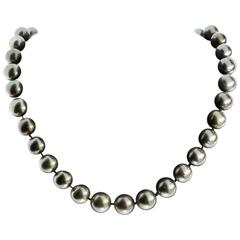 Stunning Tahitian Pearl Strand Necklace