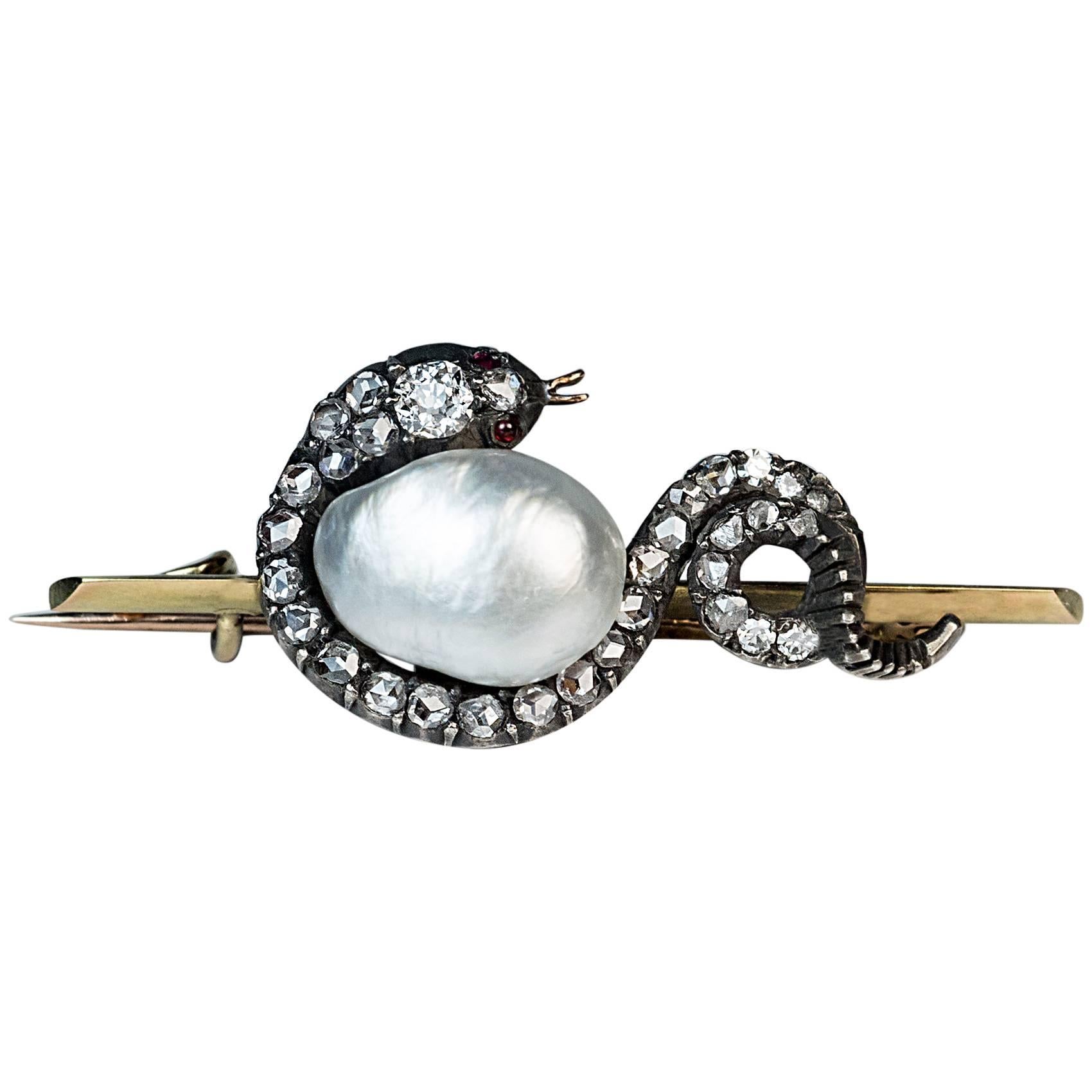 Antique Baroque Pearl Diamond Snake Brooch For Sale