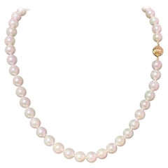 Akoya-Perlenkette aus 14 Karat Gelbgold, zertifiziert
