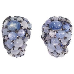 Blue Star Sapphire with Blue Sapphire and Diamond Earrings 18 Karat White Gold
