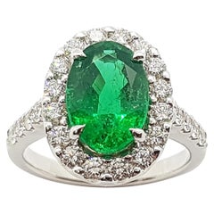 Emerald with Diamond Ring Set in 18 Karat White Gold Settings