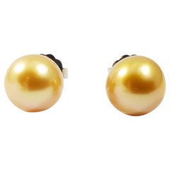 South Sea Pearl Earrings Set in 18 Karat White Gold Settings