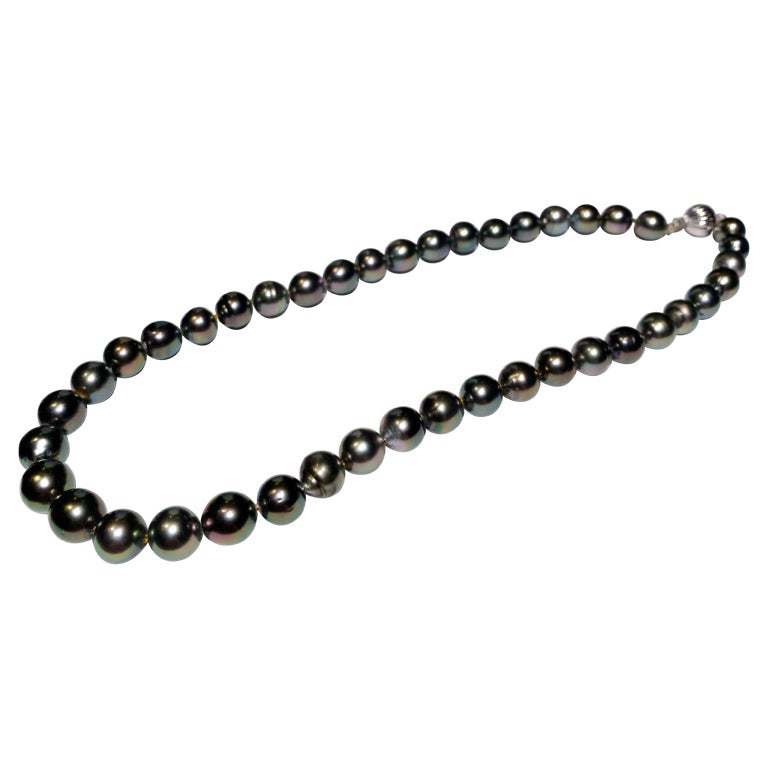 Black Colour Green Tone Tahitian Pearl Necklace with 18k Gold Clasp For Sale