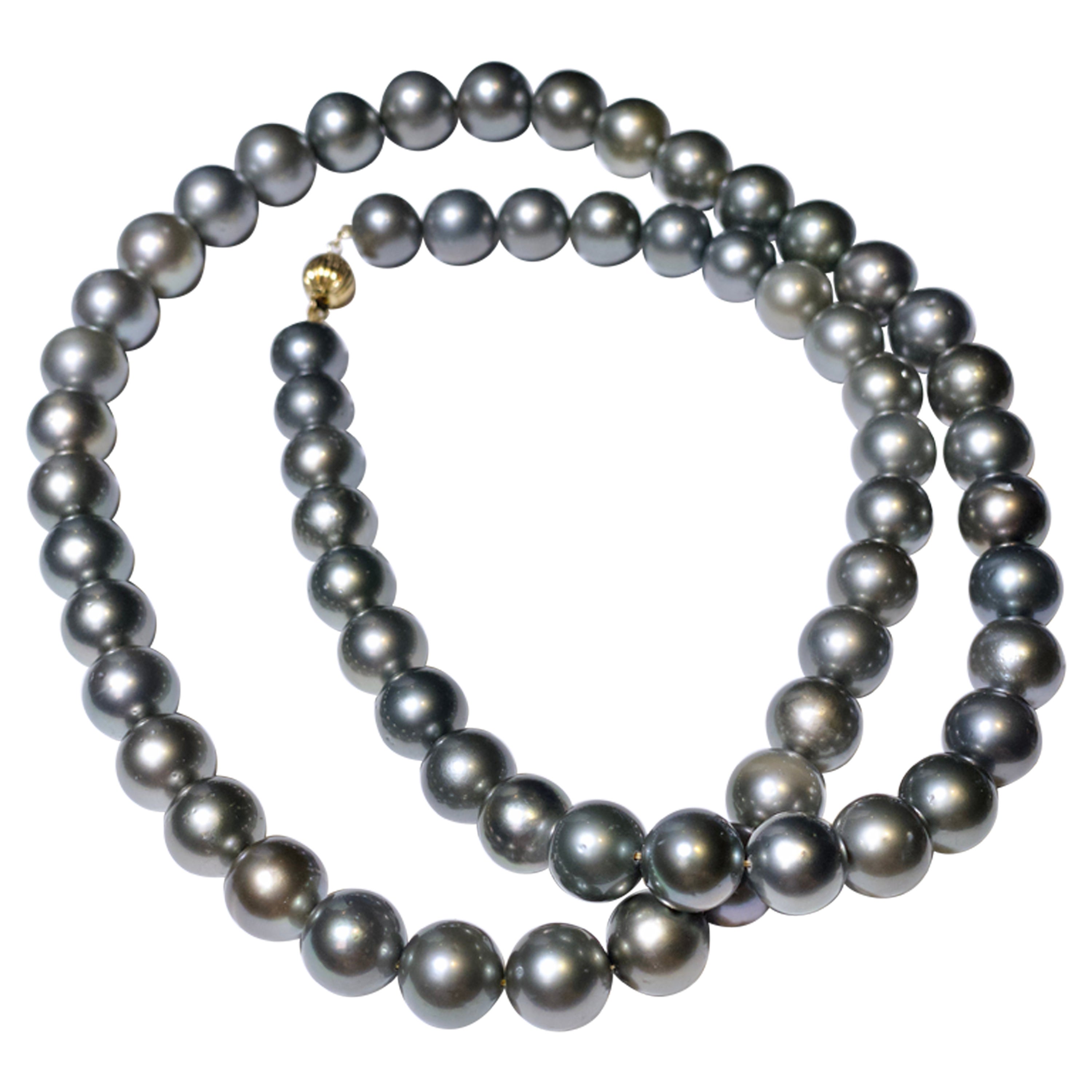 Grey Colour Silver Tone Tahitian Pearl Necklace with 18k Gold Clasp For Sale