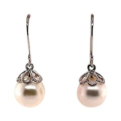 Akoya Pearl Earrings 14 Kt Yellow Gold Certified