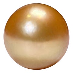 Loose Golden Colour South Sea Pearl