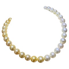 South Sea Pearl Necklace Sterling Silver