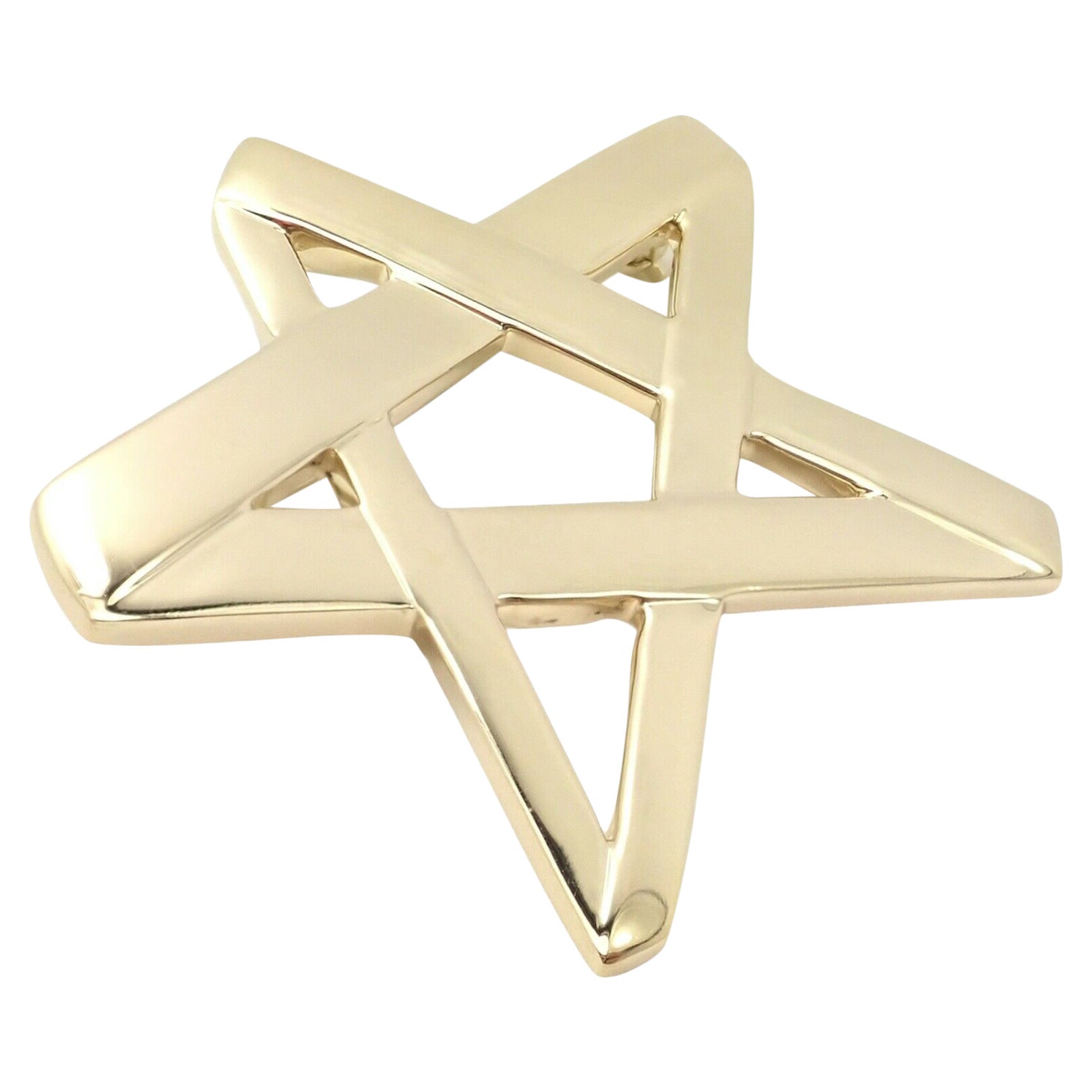 Tiffany & Co Paloma Picasso Large Star Brooch Pendant For Sale