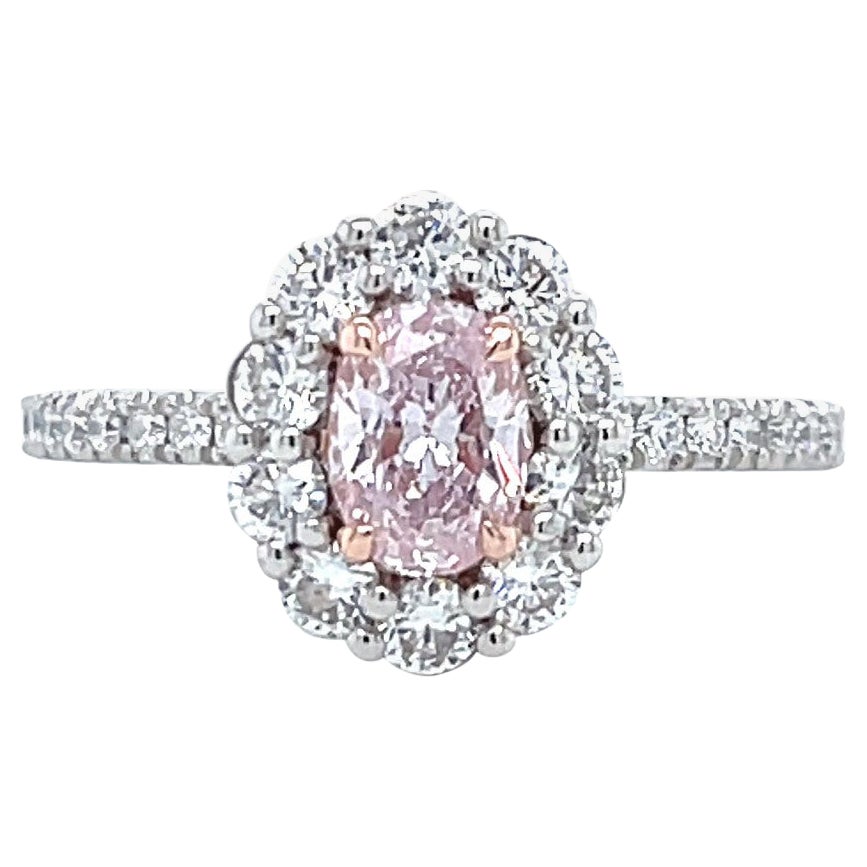 Modern GIA Fancy Oval Cut Pink Diamond Platinum & Gold Engagement Ring