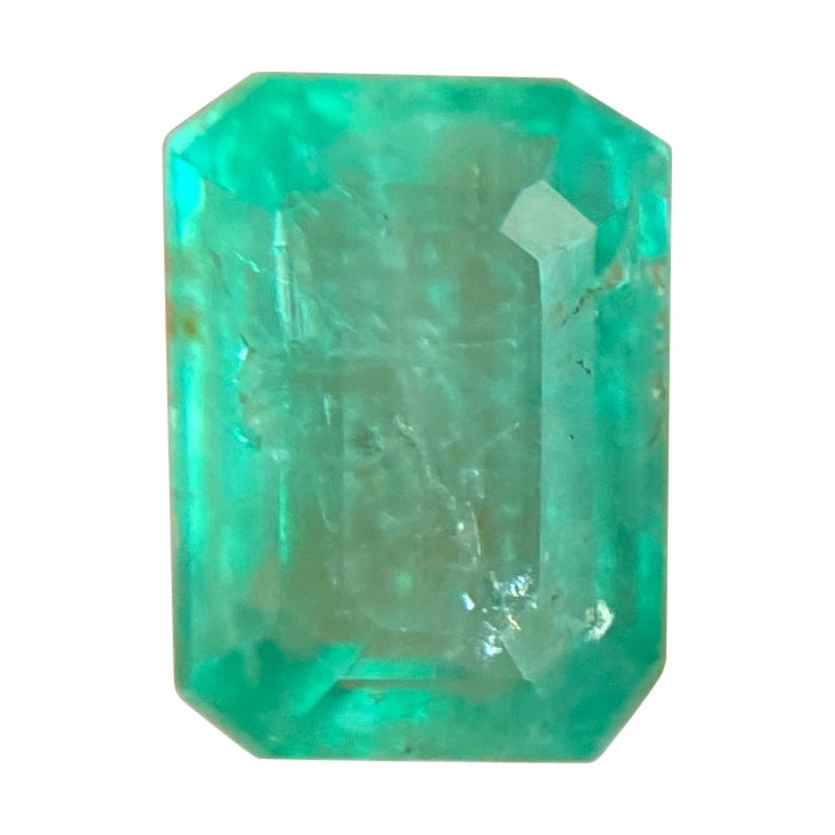 Deep Green Natural Emerald 0.85ct Rare Loose Emerald Octagon Cut Gem
