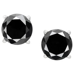 2.99 Carat Total Round Black Diamond Solitaire Stud Earrings in 14 K White Gold