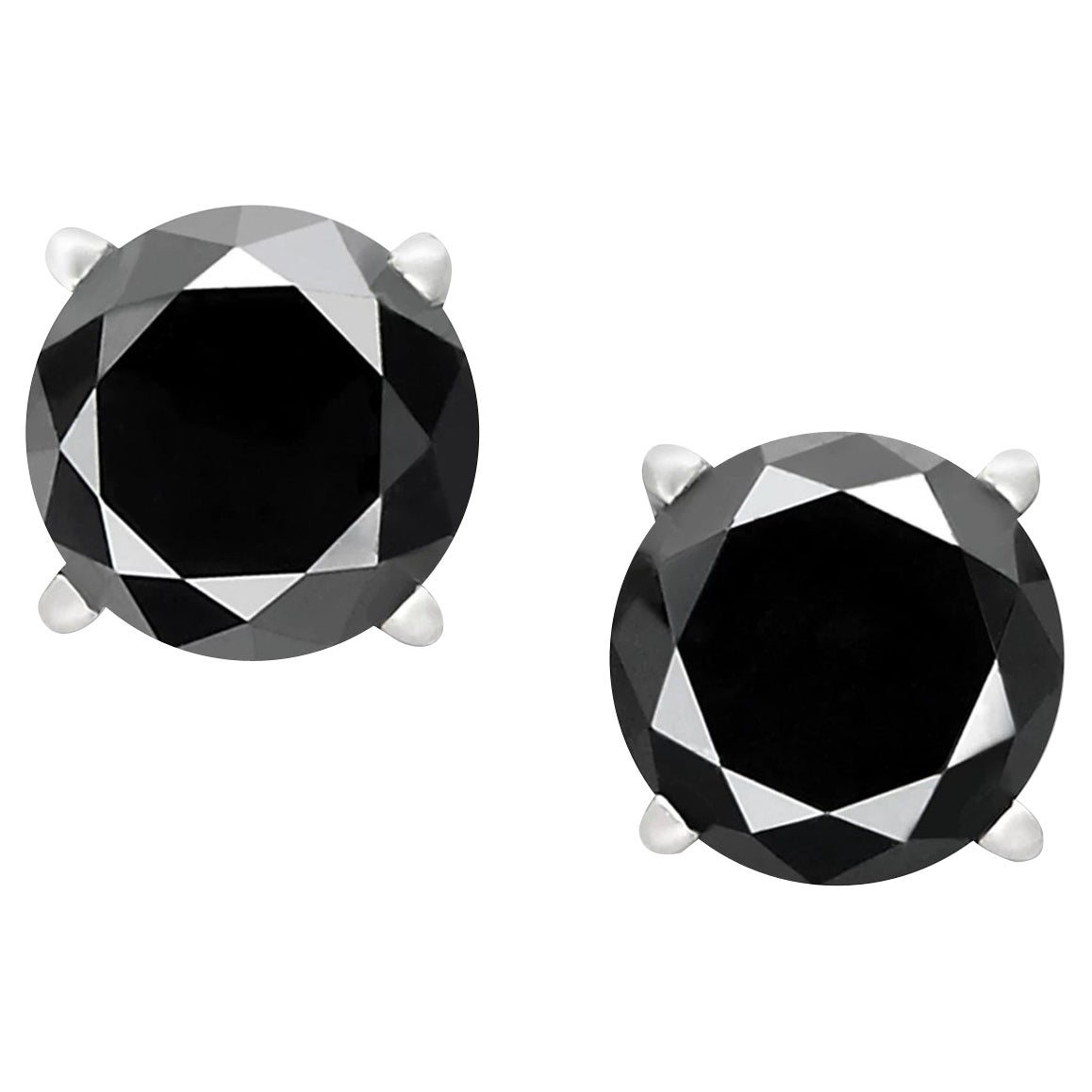 3.7 Carat Total Round Black Diamond Solitaire Stud Earrings in 14 K White Gold
