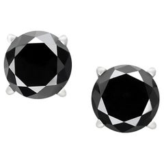 3.7 Carat Total Round Black Diamond Solitaire Stud Earrings in 14 K White Gold