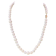 Collier de perles Akoya en or 14 carats 18"" 8.5 mm certifié
