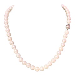 Collana di perle Akoya in oro 14k certificato