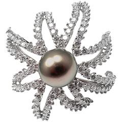 Tiffany & Co. feux d'artifice Perle de Tahiti Diamant Platine Broche