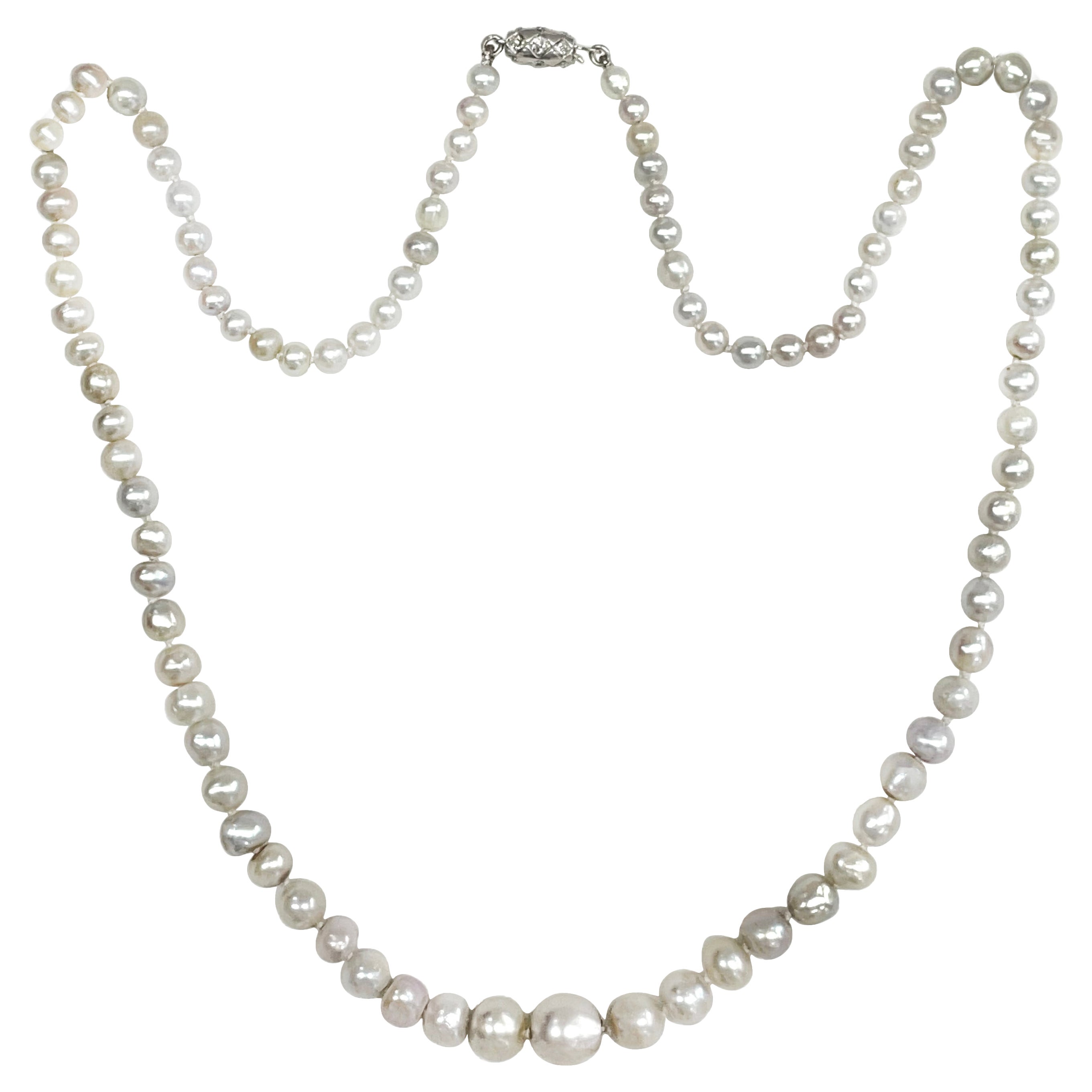 Large Natural Saltwater Pearl Necklace