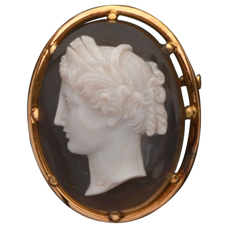 Antique French Agate Cameo Brooch For Sale