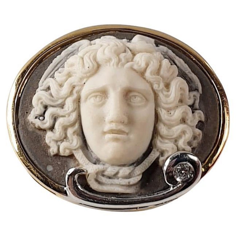 Medusa Cameo in 18k Gold and Diamond Pendant For Sale