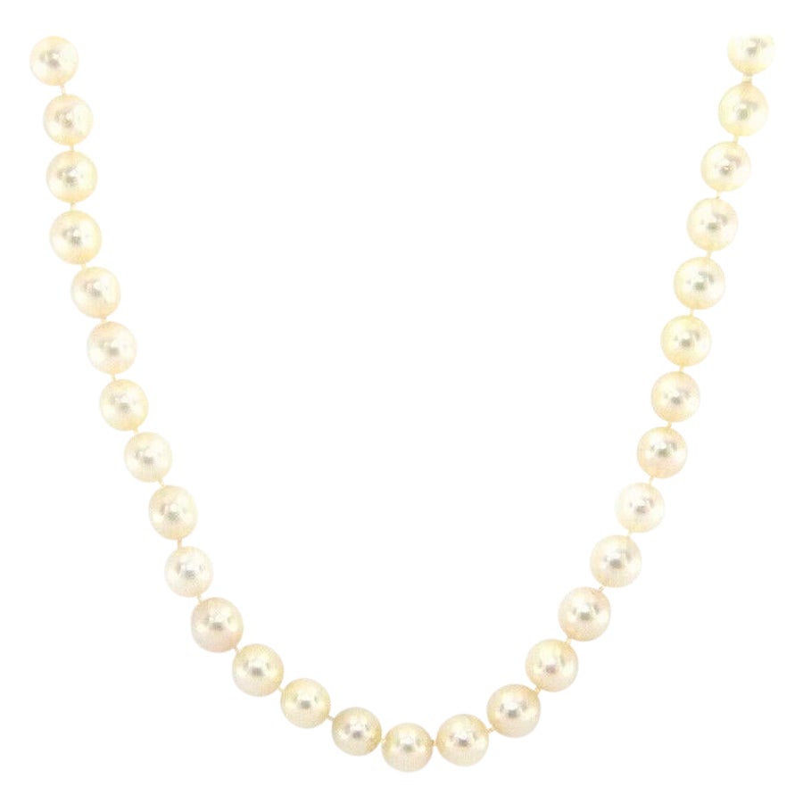 Cultured Akoya Pearl Strand Necklace in 14K Yellow Gold For Sale