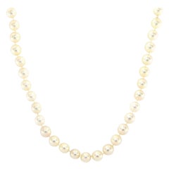 Cultured Akoya Pearl Strand Necklace in 14K Yellow Gold