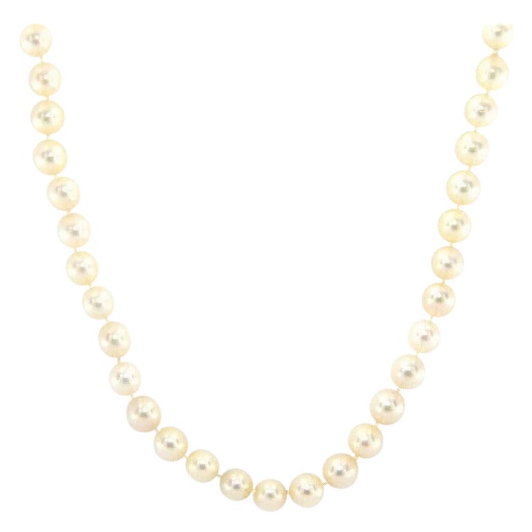 Cultured Akoya Pearl Strand Necklace in 14K Yellow Gold For Sale at 1stDibs
