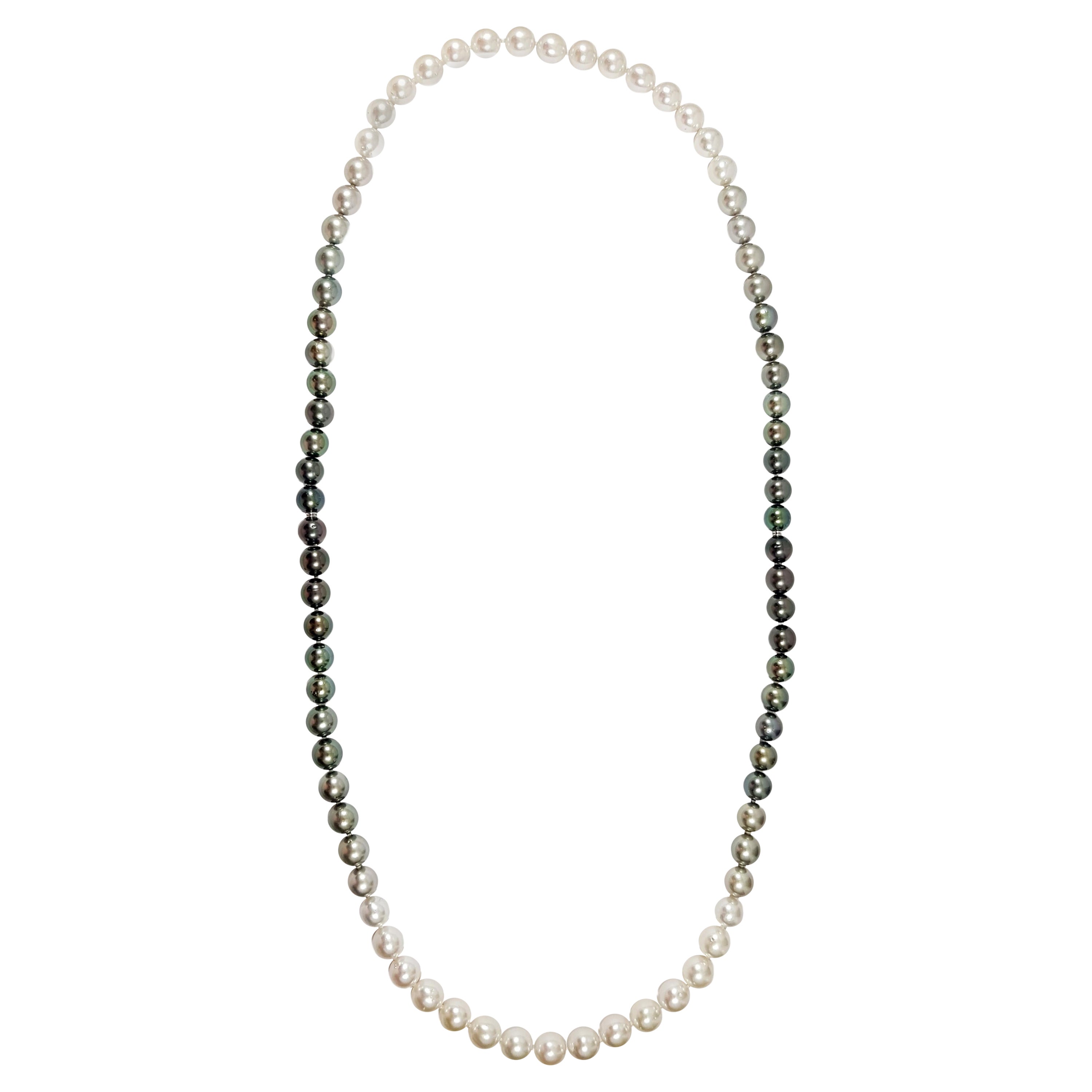 Gradutated Color South Sea Pearl Necklace with Hidden 18K White Gold Clasp For Sale