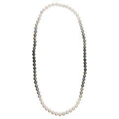 Gradutated Color South Sea Pearl Necklace with Hidden 18K White Gold Clasp