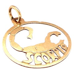 Zodiac Scorpio Charm in 14 Karat Gold