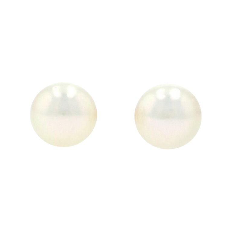 Yellow Gold Cultured Pearl Stud Earrings, 14k Pierced For Sale