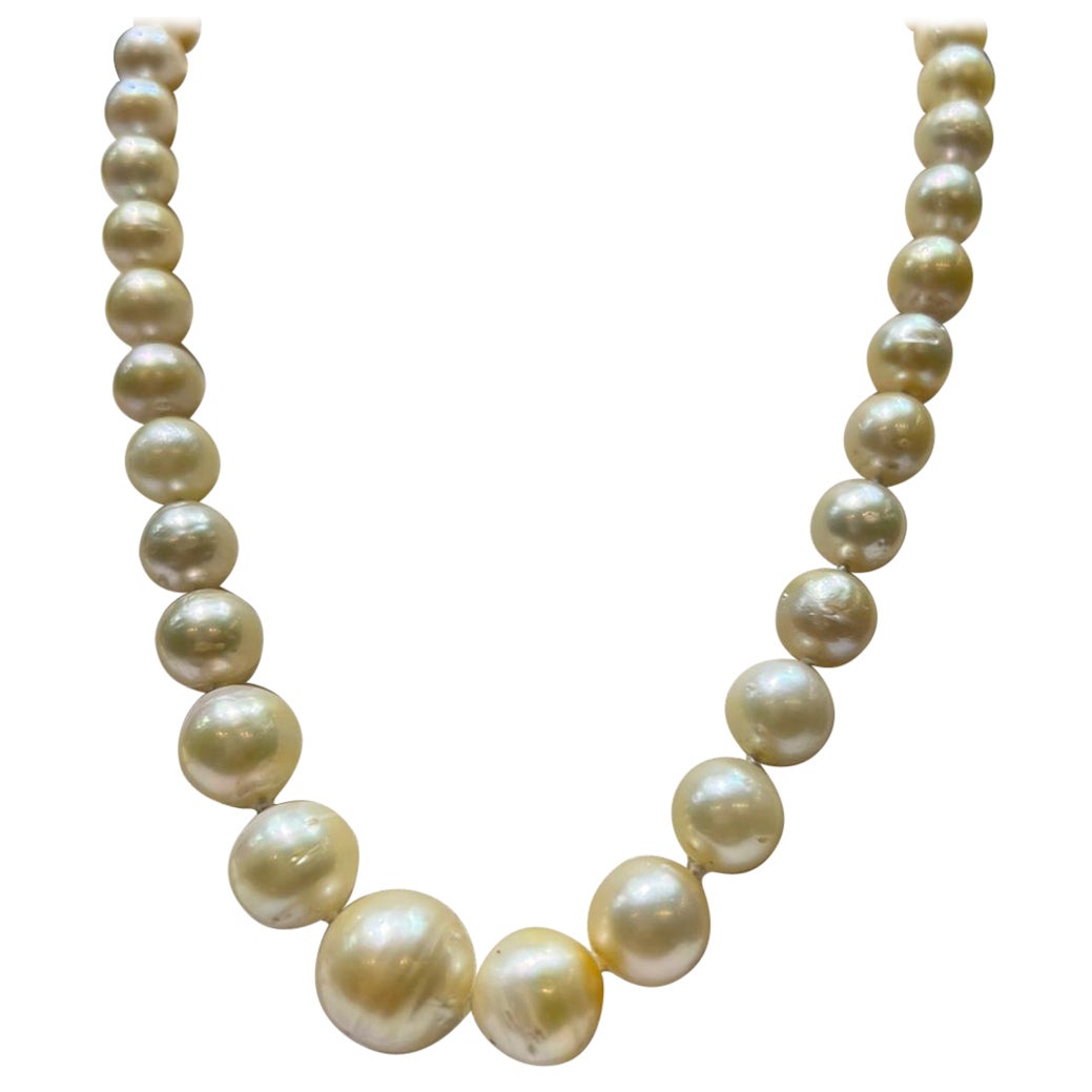 South Sea Golden Circled Baroque Pearl Necklace with Gold Clasp at ...