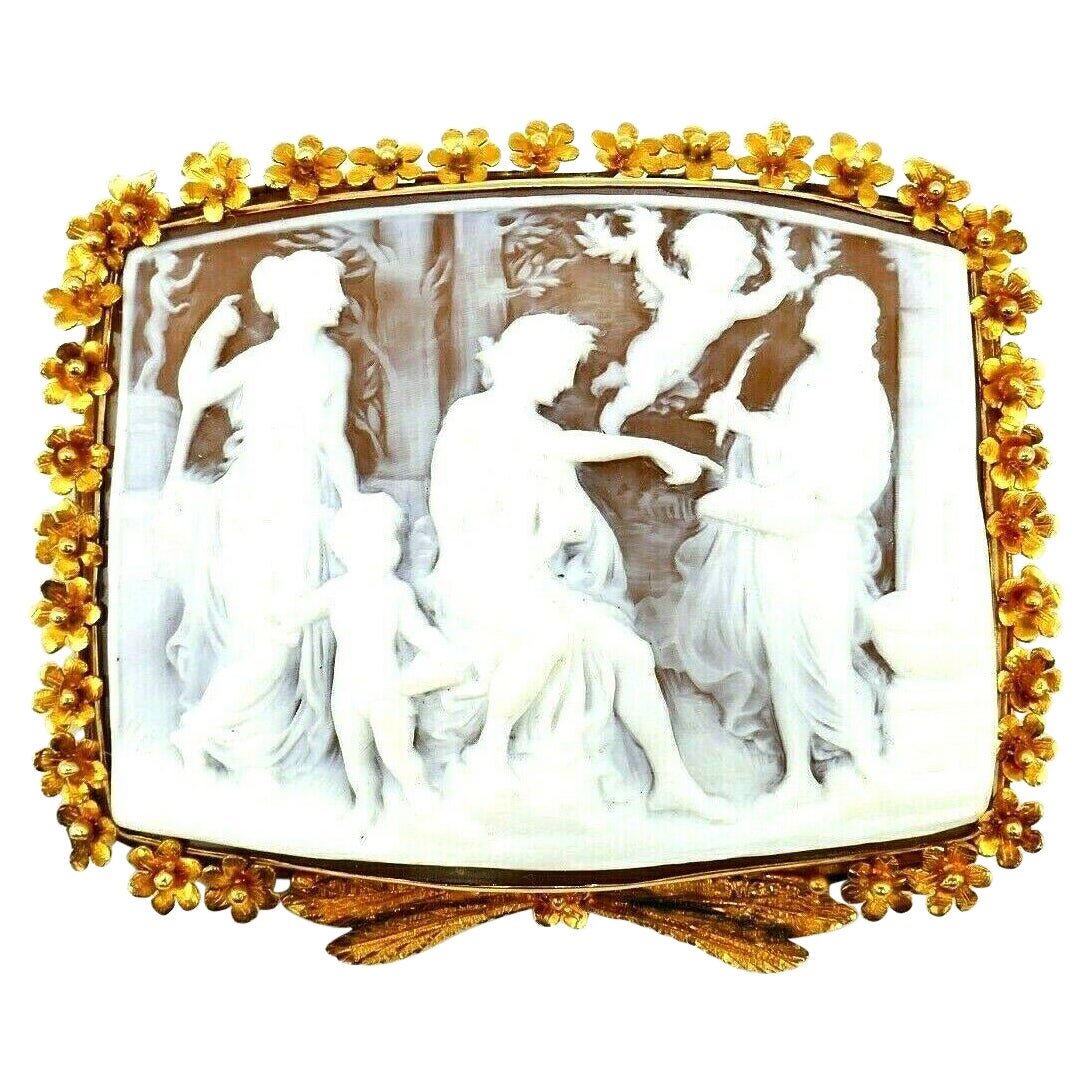 Antique Yellow Gold Greek Mythology Motif Cameo Brooch For Sale