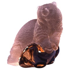 "JEUNE OURS GRIZZLY couché sur un rocher", A. Zimmermann