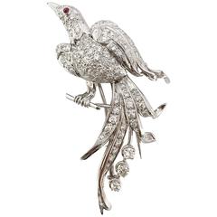 Vintage Diamond Gold Platinum Bird of Paradise Brooch 