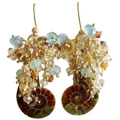 Ammonite Moss Aquamarine Citrine Topaz Zircon Hessonite Cluster Earrings