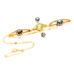 Deep Blue Sapphire and Green Peridot Vintage Brooch in 9 Carat Yellow Gold