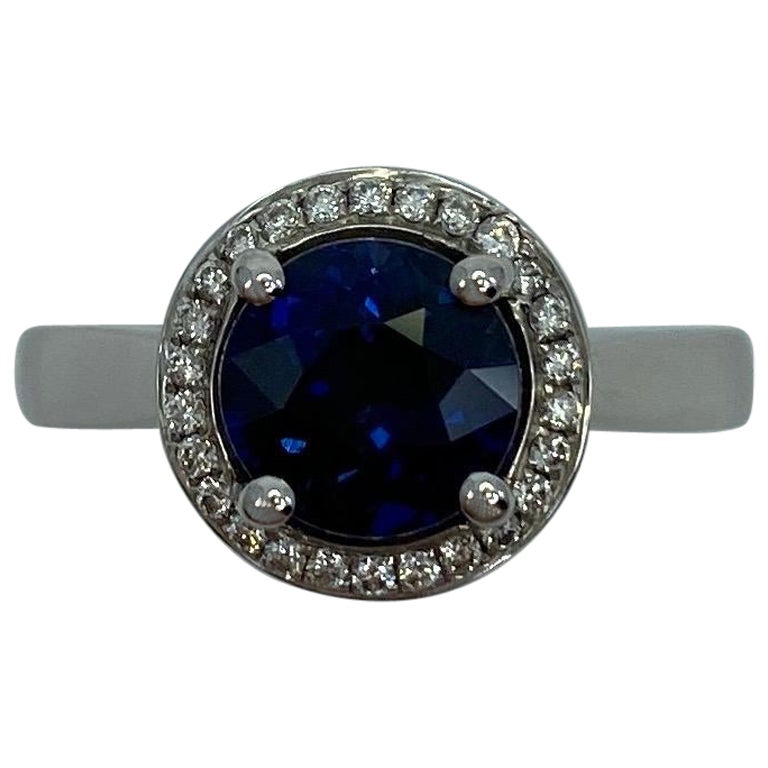 2.50ct Carat Fine Ceylon Blue Sapphire and Diamond 18k White Gold Halo Ring