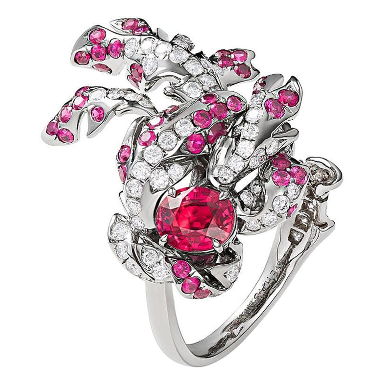 Neha Dani Mozambique Ruby and Diamonds on Titanium Scarlet Ring For Sale