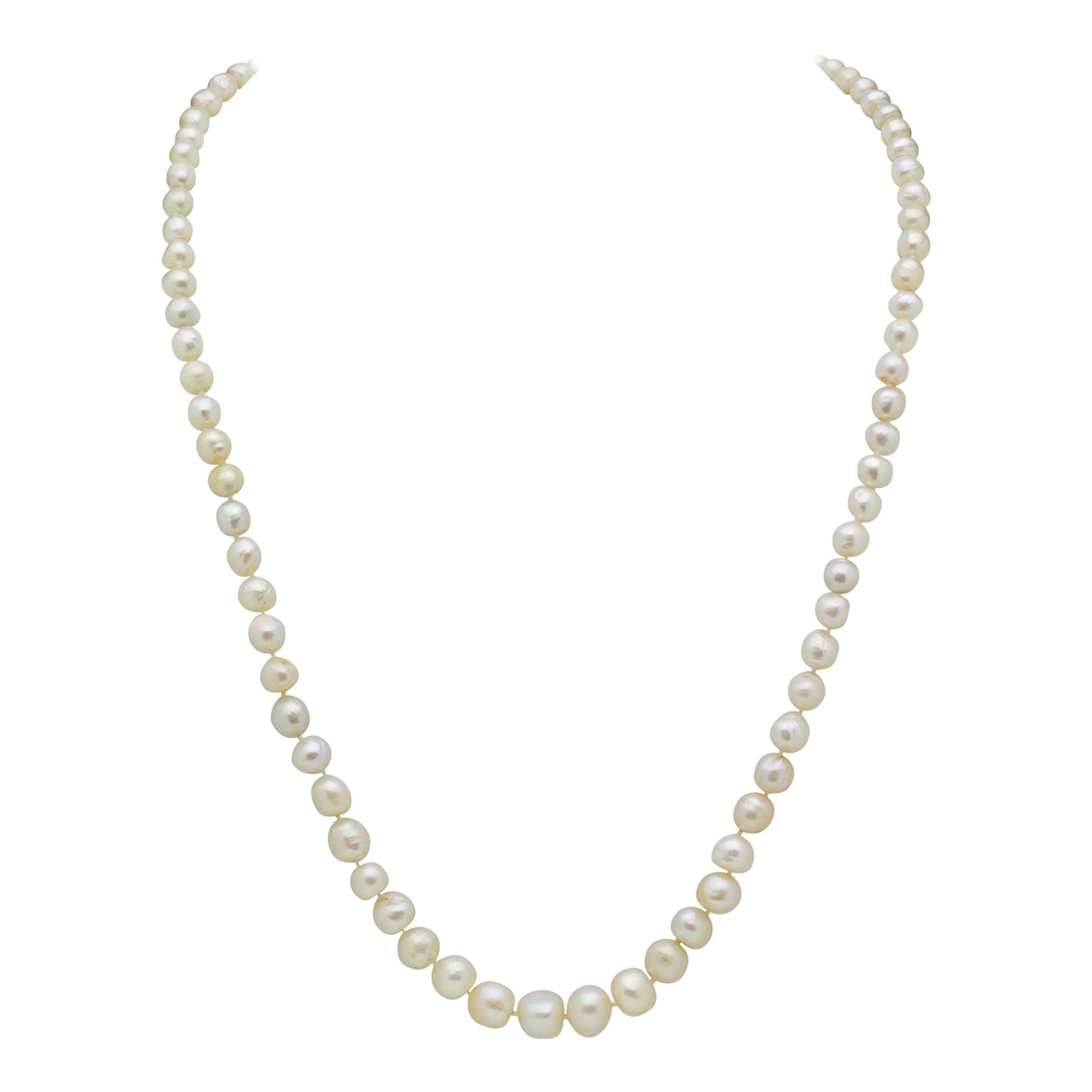 Strand of 85 Natural Pearls With 15 Karat Gold and Diamond Clasp For Sale