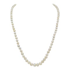 Strand of 85 Natural Pearls With 15 Karat Gold and Diamond Clasp