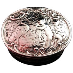 Antique Victorian Sterling Silver Snuff Box, Fairies, Woodland