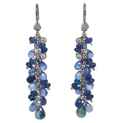 Dilys' 14.92ct Blue Sapphire Grape Motif Earrings in 18K Gold