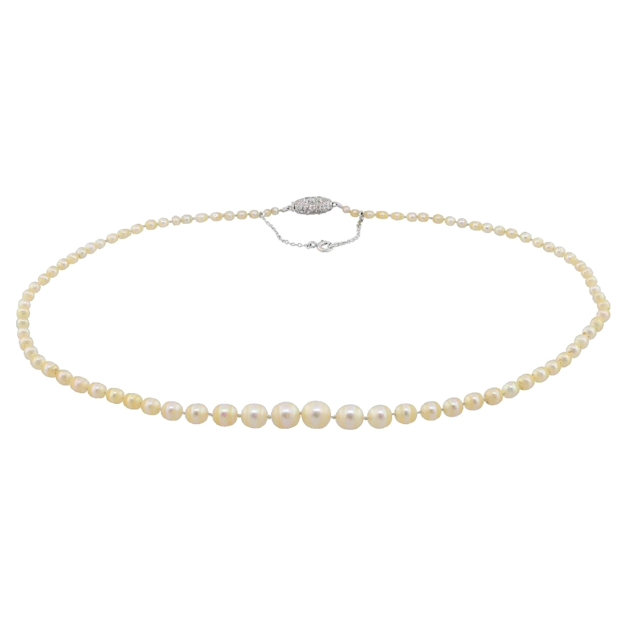 GIA certified Cartier Salt Water Pearl Necklace in Original Cartier Box For Sale