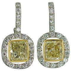 Yellow Diamond Two Color Gold Earrings