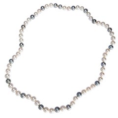 Alex Jona Long South Sea and Tahiti Light Grey Pearl Necklace